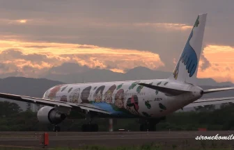 ANA Founding 60th Anniversary Special painting Aircraft Yume Jet ~ You & Me ~