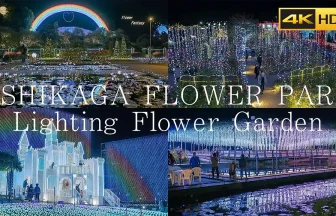 Amazing Christmas lights | Ashikaga Flower Park 2023-2024 | Ashikaga, Tochigi Japan
